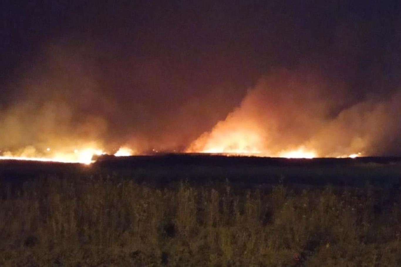 Samsun'da sazlık alanda çıkan yangın ormana sıçradı